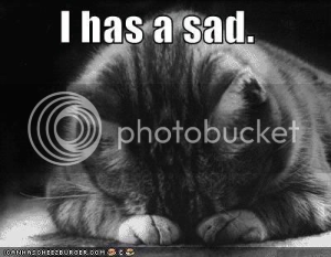 sad-cat.png