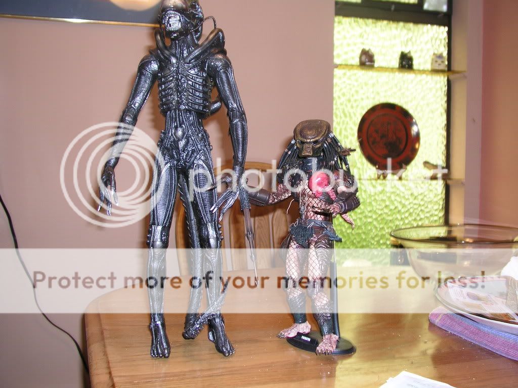 neca18alien004.jpg