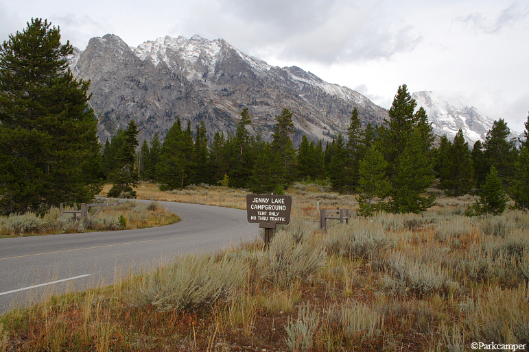 Grand-Teton-National-Park-Jenny-Lake-Campground-camping-trees.jpg