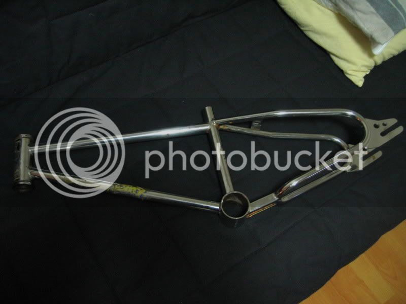 mongoose84frame0005.jpg