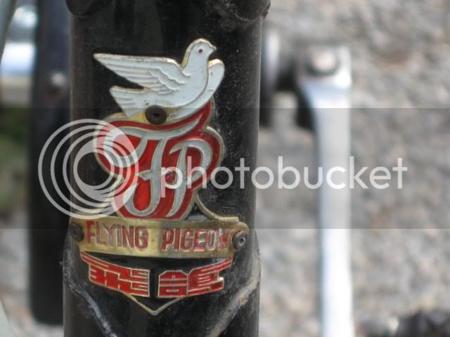 Bikes4110.jpg