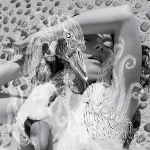 Bj%C3%B6rk_-_Vespertine_album_cover.png