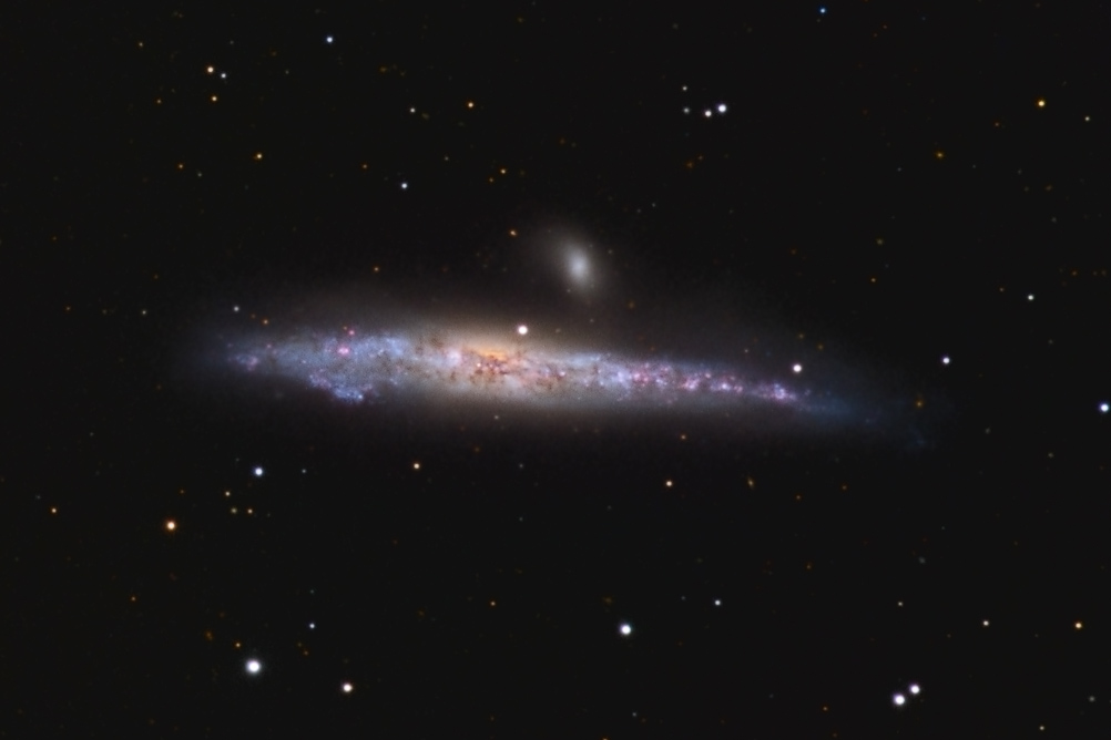 NGC4631_20100406.jpg