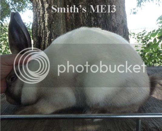 SmithsMEI3posed.jpg