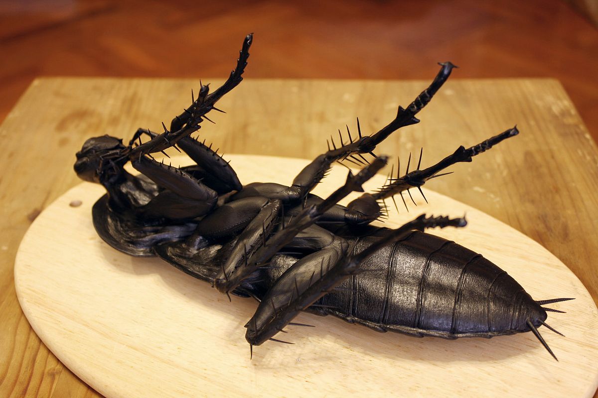 cockroach021.jpg