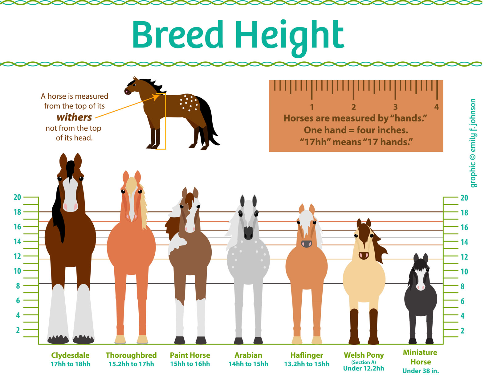 horse-breed-sizes-graphic_1600.jpg