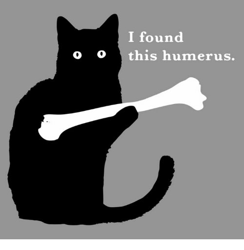 i-found-o-othis-humerus-37165110.png