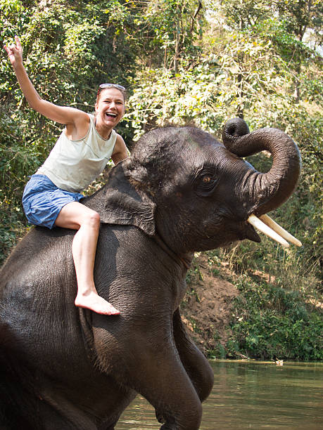 screaming-woman-sits-riding-on-young-elephant-picture-id468613856