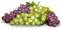 grape_cluster.gif