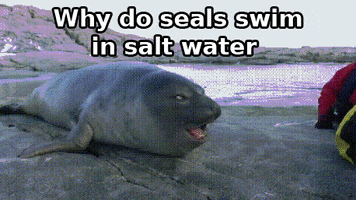 water salt GIF