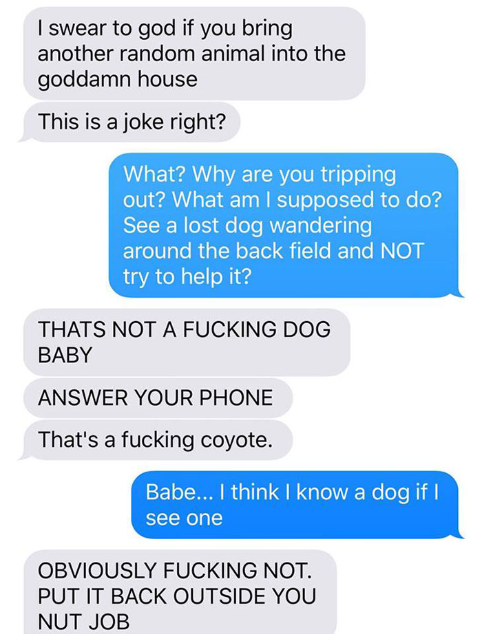 Husband-Freaks-Out-After-His-Wife-Texts-Him-She-Brought-A-Dog-Home-While-The-Pic-Shows-Its-Coyote-5842a59b1ae58__700.jpg