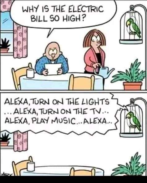May be an image of lovebird, parrot and text that says WHY IS THE ELECTRIC BILL so HIGH? ALEXA, TURN ON THE LIGHTS ...ALEXA, TURN ON THE TV... ALEXA, PLAY MUSIC.. .ALEXA...