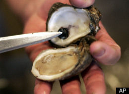 s-OYSTERS-large.jpg