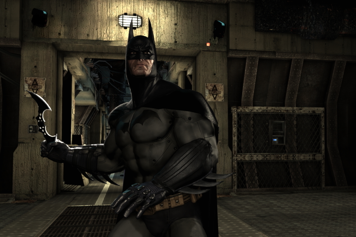 Batman-Arkham-Asylum-videogame-batman-3853853-1200-799.jpg