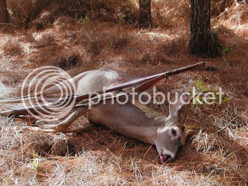 BerksBuck-1.jpg