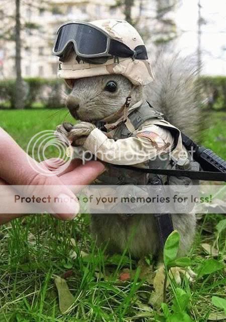 SquirrelSoldier-1.jpg