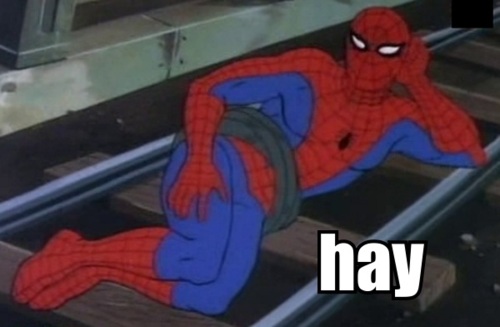 hay+spiderman.jpg