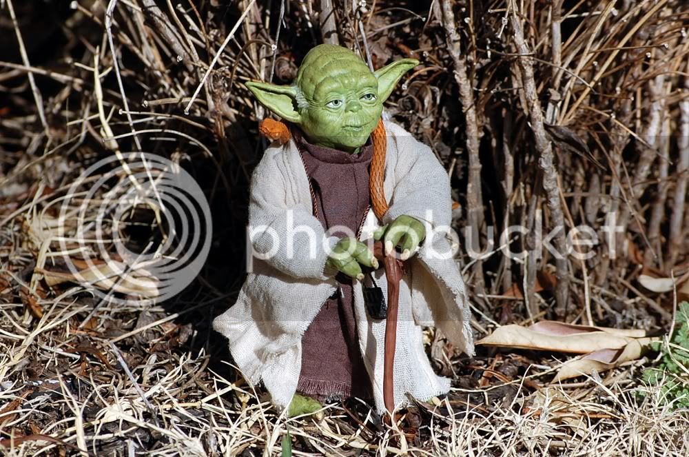 yoda1.jpg