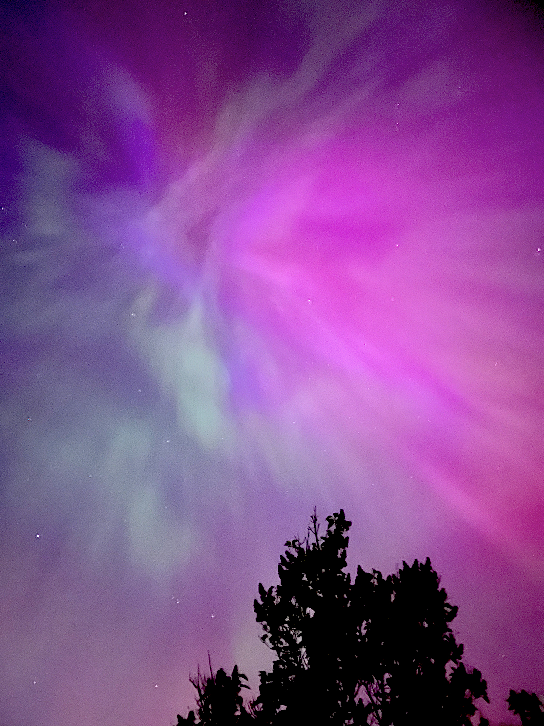 c-Roch-Auroras-4.jpg