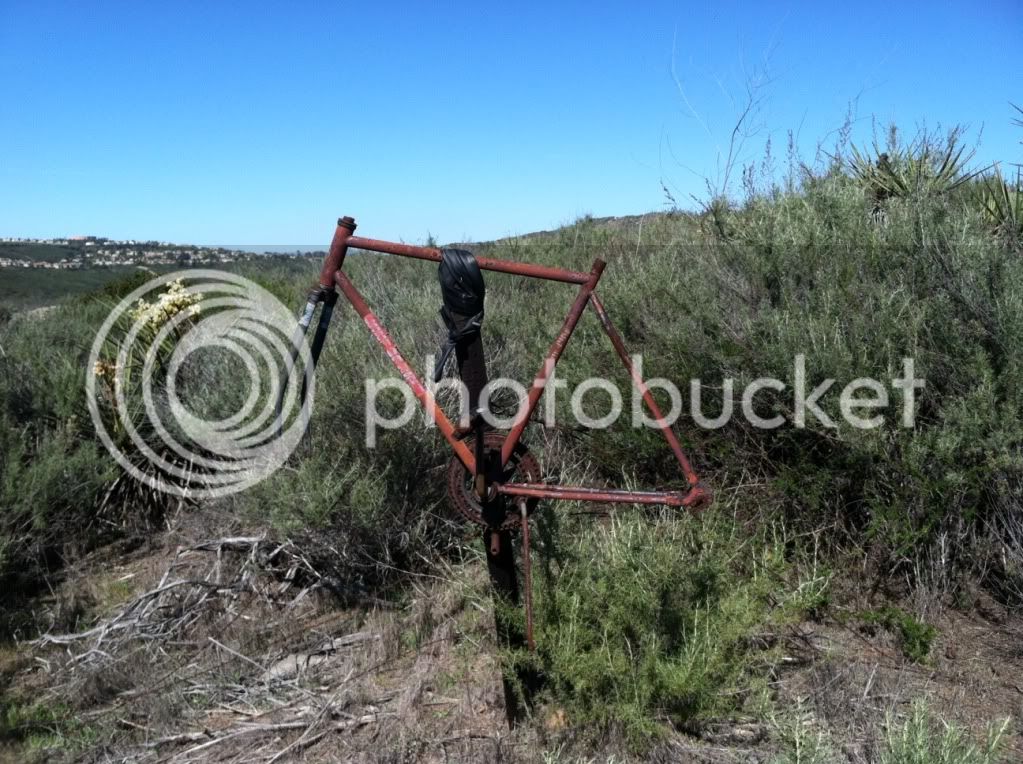 calavera_lost_bike.jpg