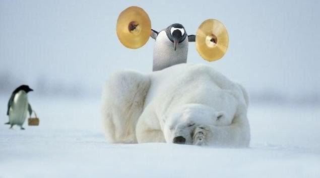 penguincymbals.jpg