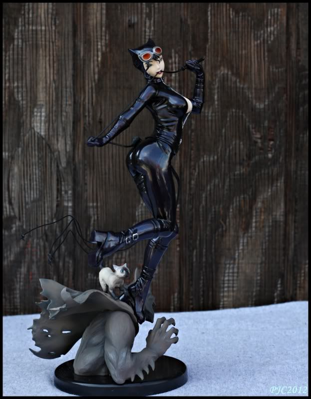 CatwomanBishoujo5.jpg