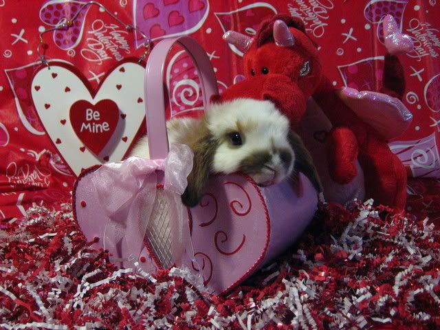 ValentineBunnies044.jpg