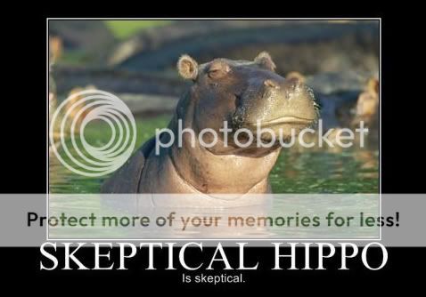 skeptical-hippo.jpg