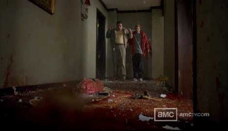 breaking-bad-20100701014609304.jpg