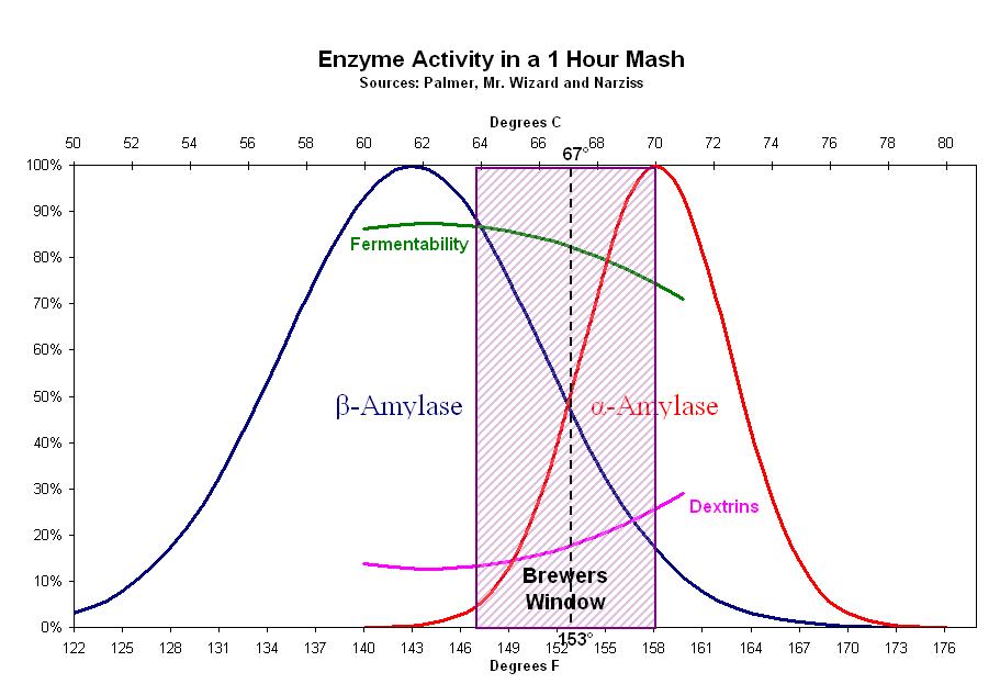 enzyme_activity_one_hour_mash.jpg