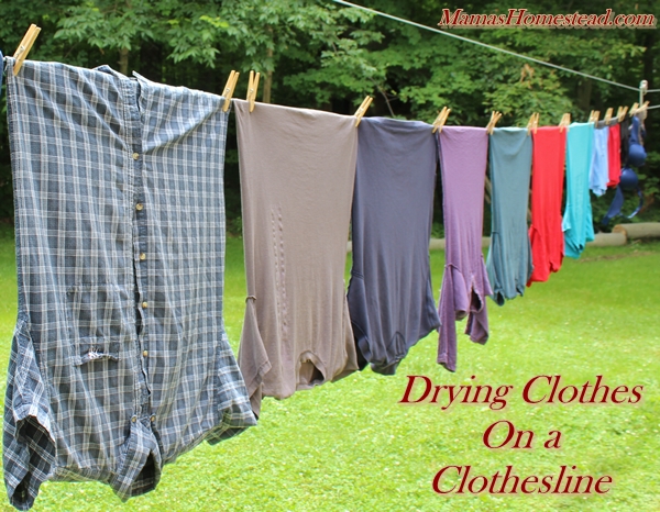 Drying-Clothes-on-a-Clothesline.jpg