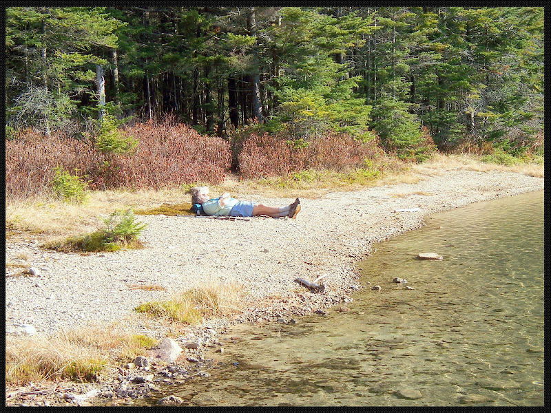 E_Pond_Sunbathing.JPG