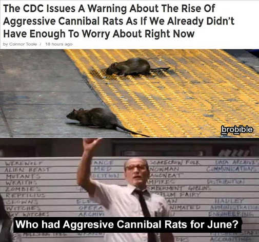 cdc-issues-warning-rise-of-aggressive-cannibal-rats-who-had-june-pool.jpg