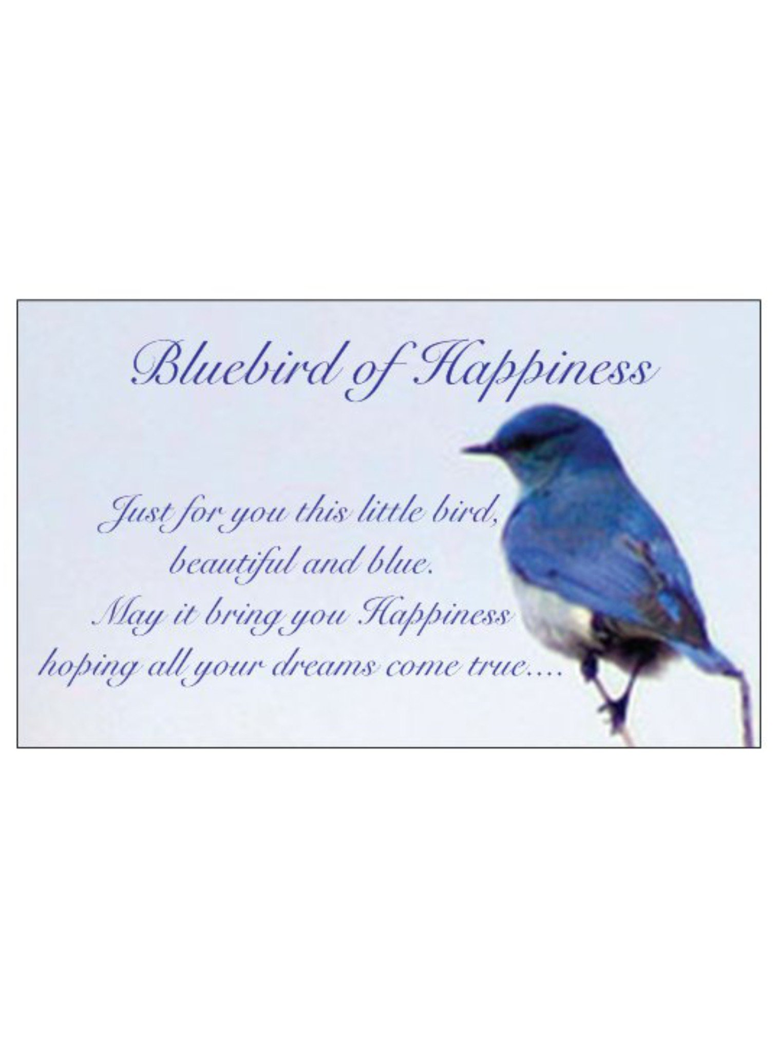 Free Gift Tag Bluebird of Happiness — The Jewel Shop