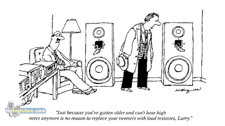 You-might-be-an-Audiophile.jpg