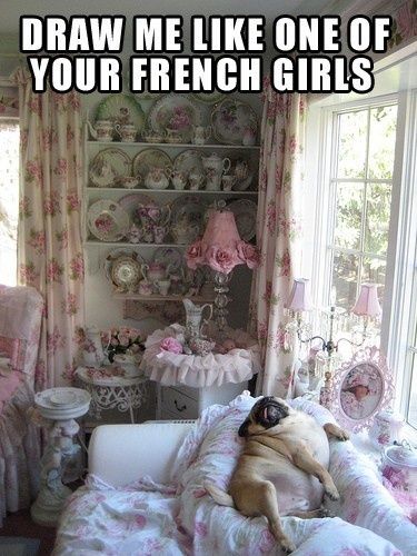funny-dog-picture-2-caption-fat-pug-wants-to-be-drawn-like-french-girl.jpg
