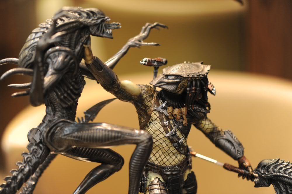 avp2.jpg