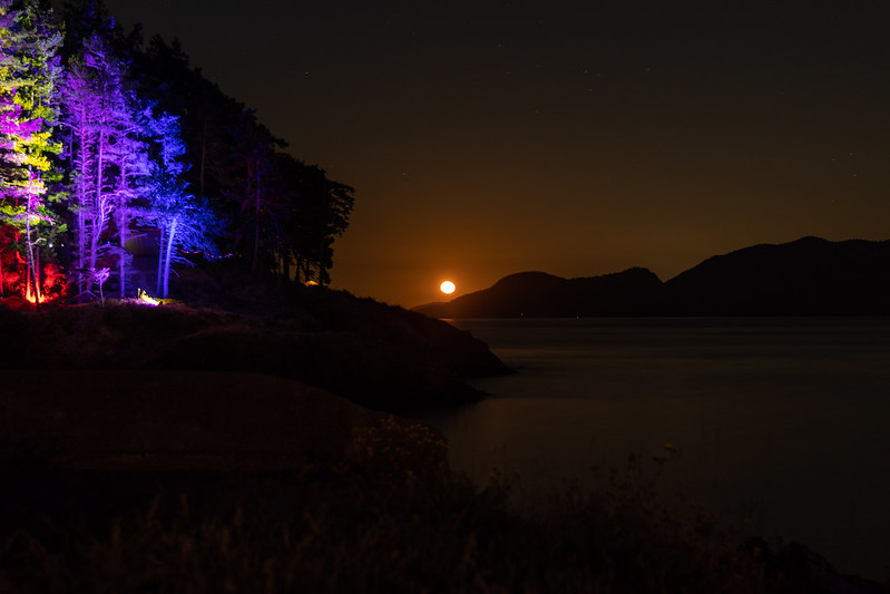 An orange moon rising beyond islands, with tall trees underlit in purple, yellow, purple again, and blue on the left