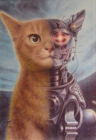 cute-cat-terminator.jpg