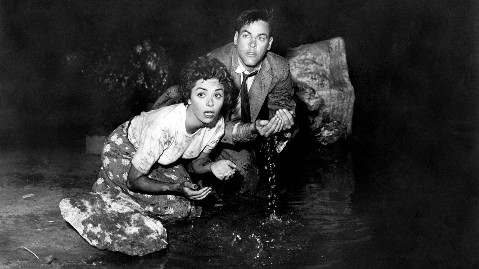 Invasion of the Body Snatchers (1956) — Science on Screen