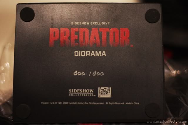 PredatorDioramaEX600.jpg