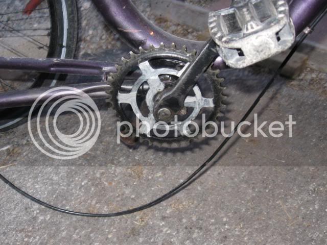 Bikes3309.jpg