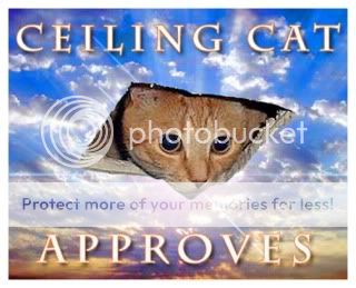 Ceilingcatapproves.jpg