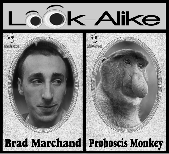 brad-marchand-proboscis-monkey-look-alike-boston-bruins.jpg