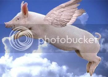 pork-on-the-wing.jpg