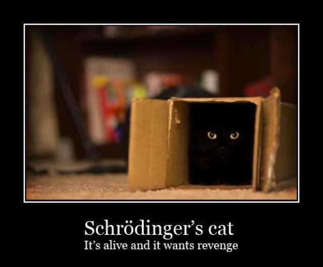 schrodingers-cat-wants-revenge-e1341109787365.jpg