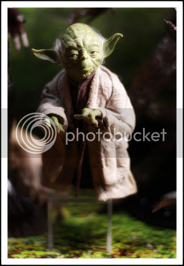 yoda_1-2-13---2B.jpg