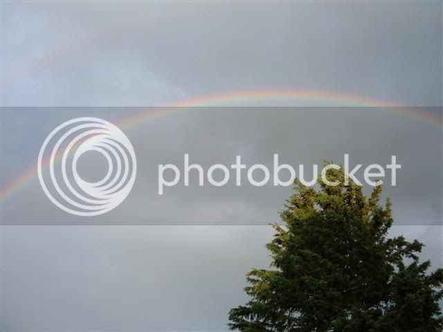 RainbowSmall.jpg