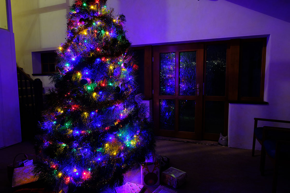 Christmas-Tree-Night.jpg