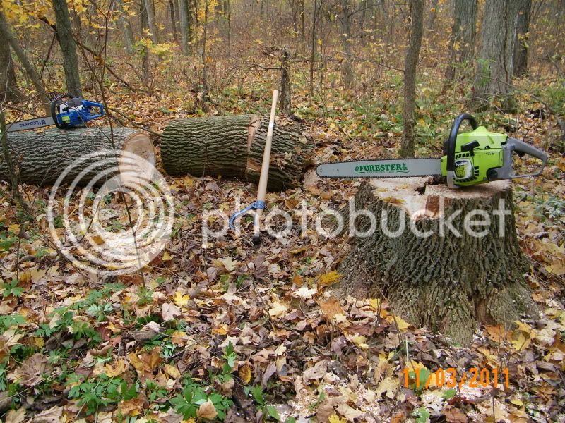 Woodcutting002.jpg